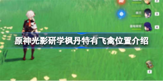 原神光影研学枫丹特有飞禽位置在哪 原神光影研学枫丹特有飞禽位置介绍