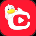 点淘app最新版