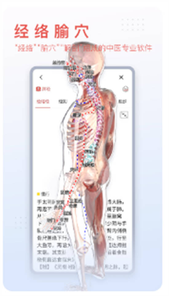 3DBody解剖图手机版下载