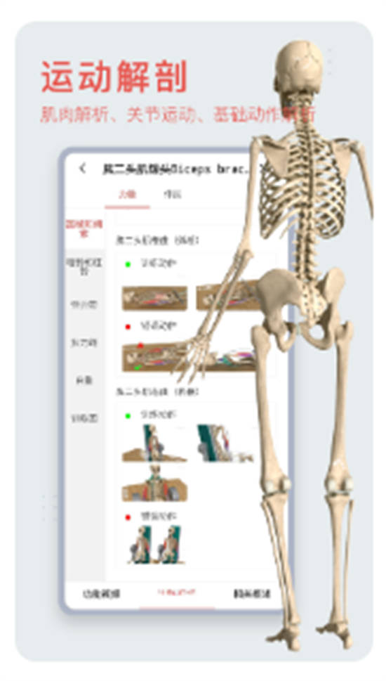 3DBody解剖图手机版