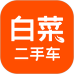 白菜二手车客户端app最新版