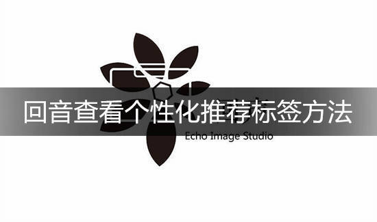 回音怎么看自己的印象 回音查看个性化推荐标签方法