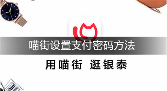 喵街怎么修改支付密码 喵街设置支付密码方法